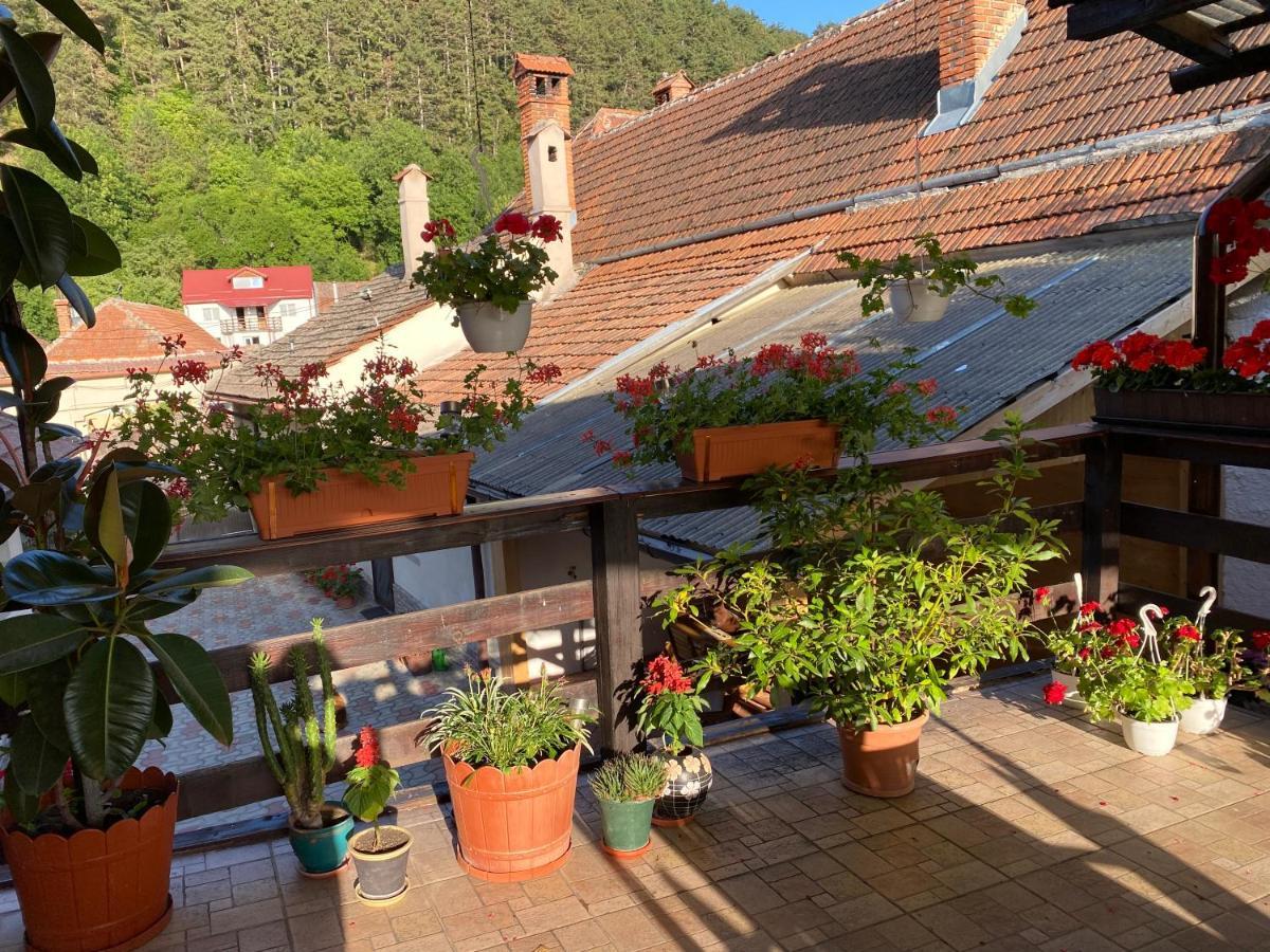 Victoria Gasthaus Rasnov - charming vacation house in Rasnov Exterior foto
