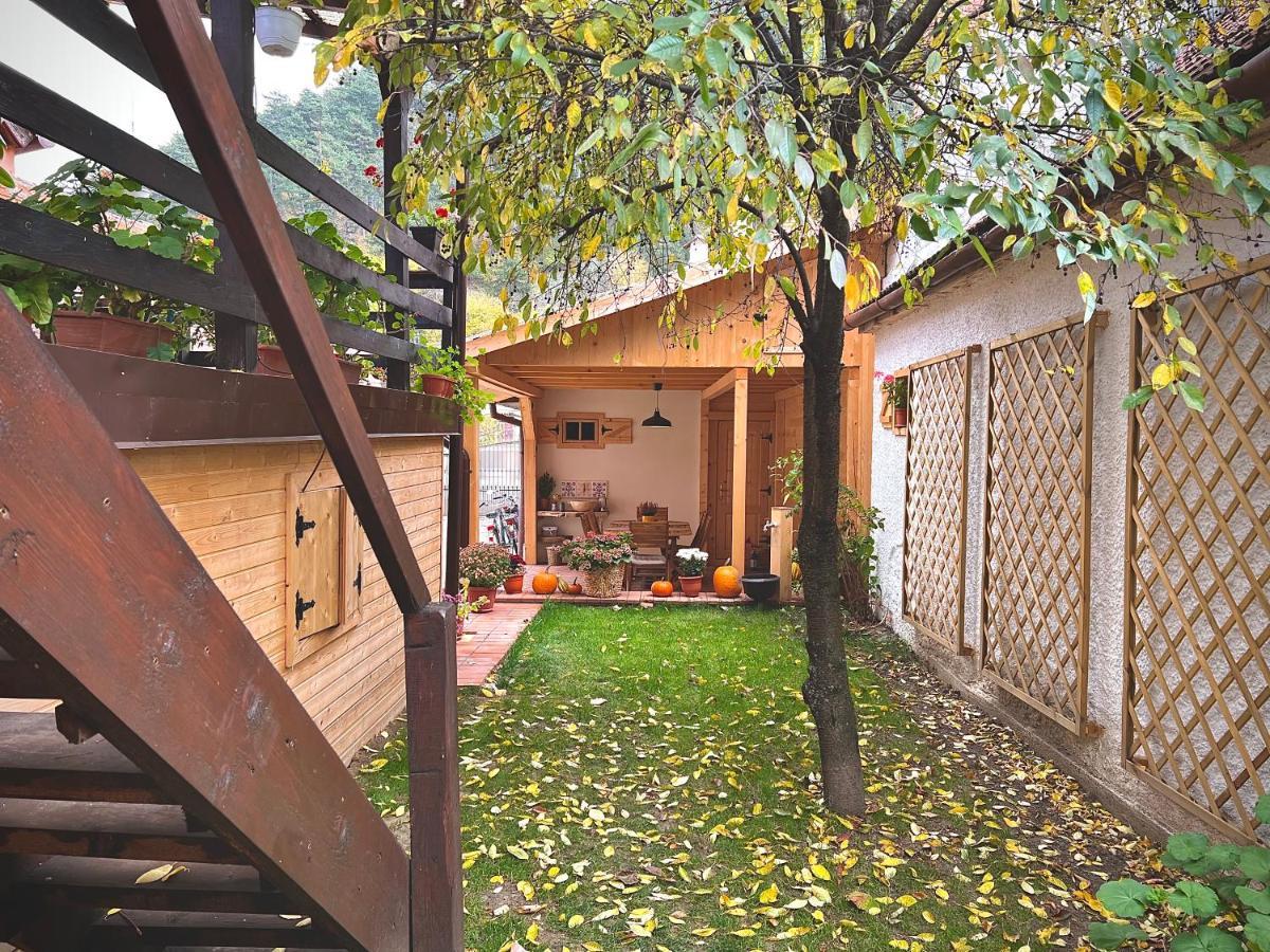 Victoria Gasthaus Rasnov - charming vacation house in Rasnov Exterior foto