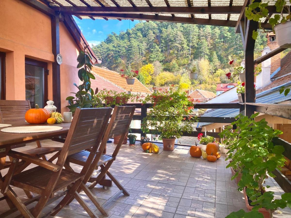 Victoria Gasthaus Rasnov - charming vacation house in Rasnov Exterior foto